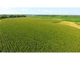 TRACT 9 - ILLINOIS LAND AUCTION - 4,810+/- ACRES OFFERED IN 85 TRACTS IN FRANKLIN, WILLIAMSON, HAMILTON & SALINE COUNTIES, ILLINOIS